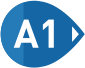 A1