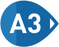 A3